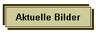 Aktuelle Bilder